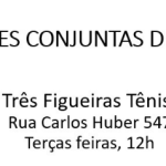 11 150x150 - REUNIÕES CONJUNTAS DE VERÃO REÚNEM COMPANHEIROS DE CLUBES DE ROTARY DOS DISTRITOS 4680 E 4670 EM PORTO ALEGRE